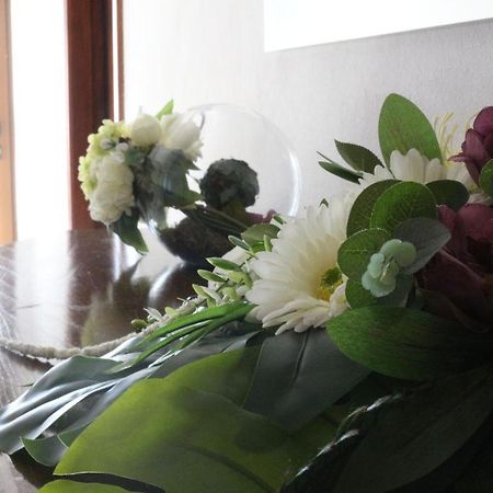Casa Da Pedrosa Bed & Breakfast Ponte de Lima Dış mekan fotoğraf