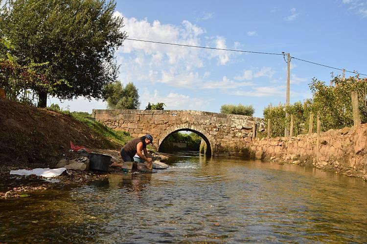 Casa Da Pedrosa Bed & Breakfast Ponte de Lima Dış mekan fotoğraf