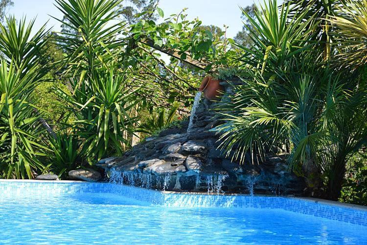 Casa Da Pedrosa Bed & Breakfast Ponte de Lima Dış mekan fotoğraf